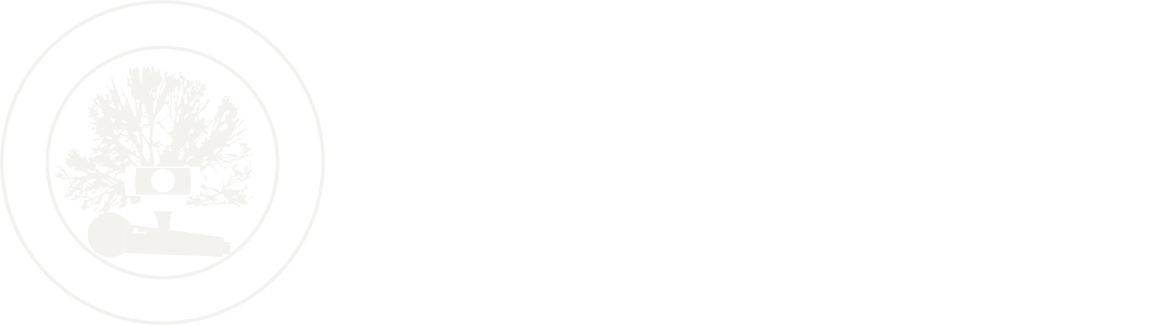 English Only